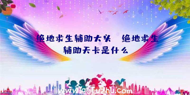 「绝地求生辅助大头」|绝地求生辅助天卡是什么